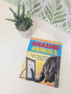 Amazing Animals Illustrated Book